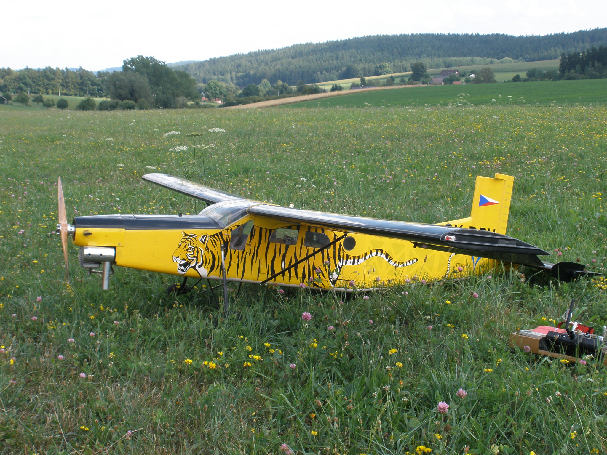 P8072010
