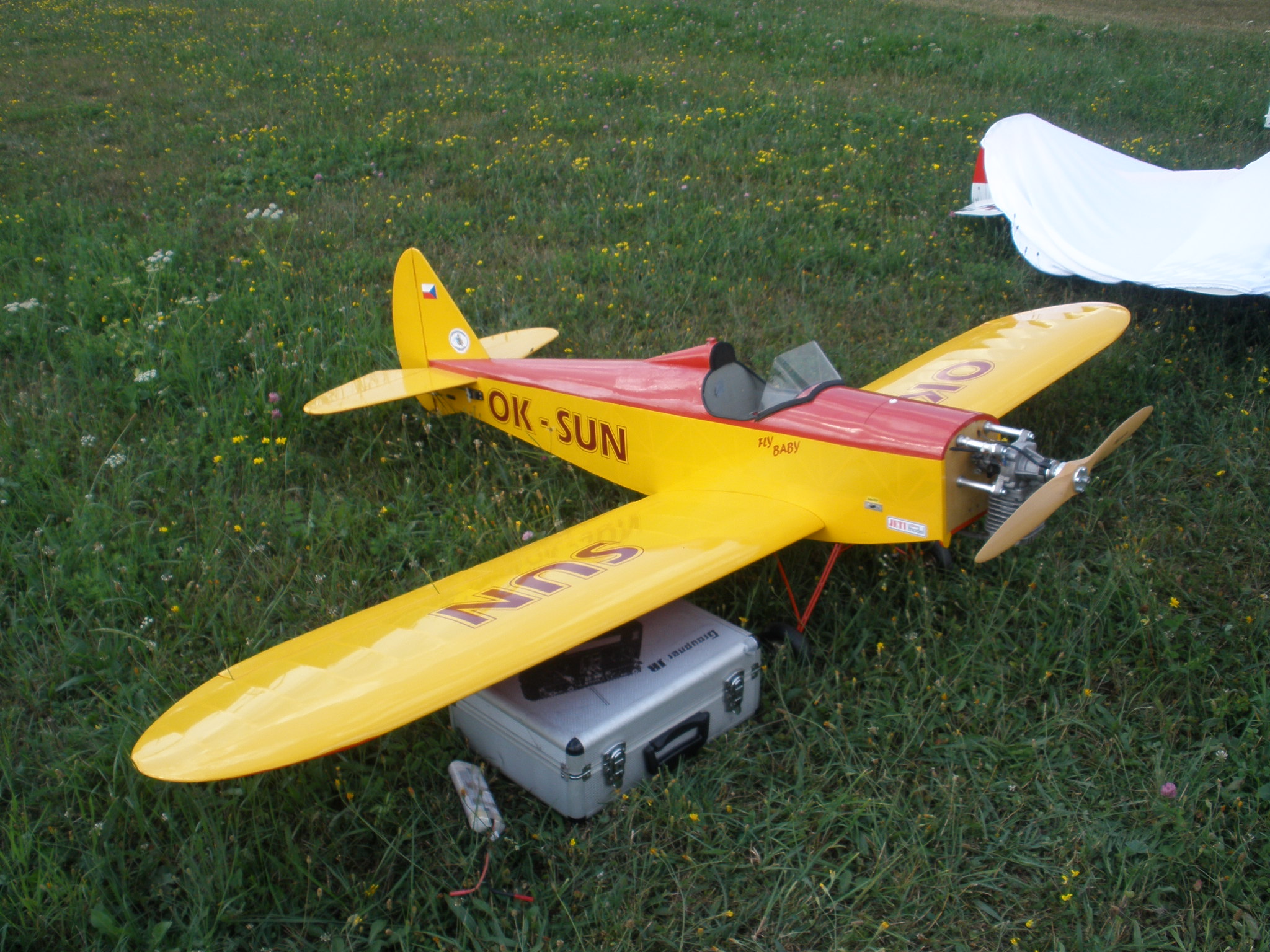 P8072013
