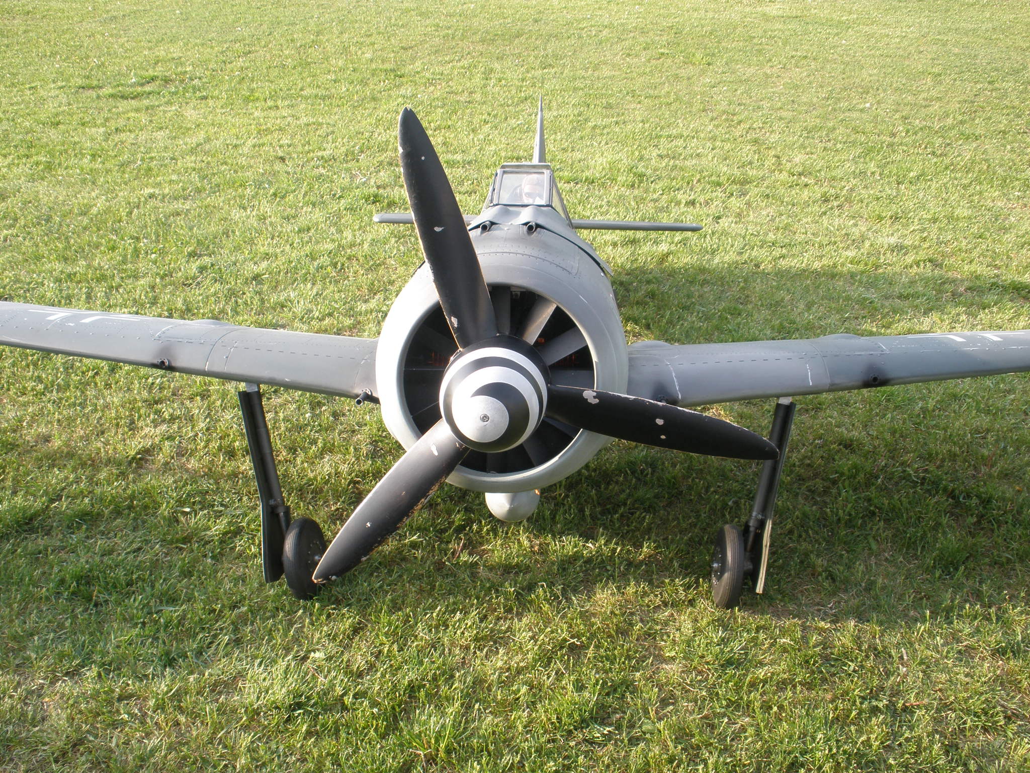P5082068