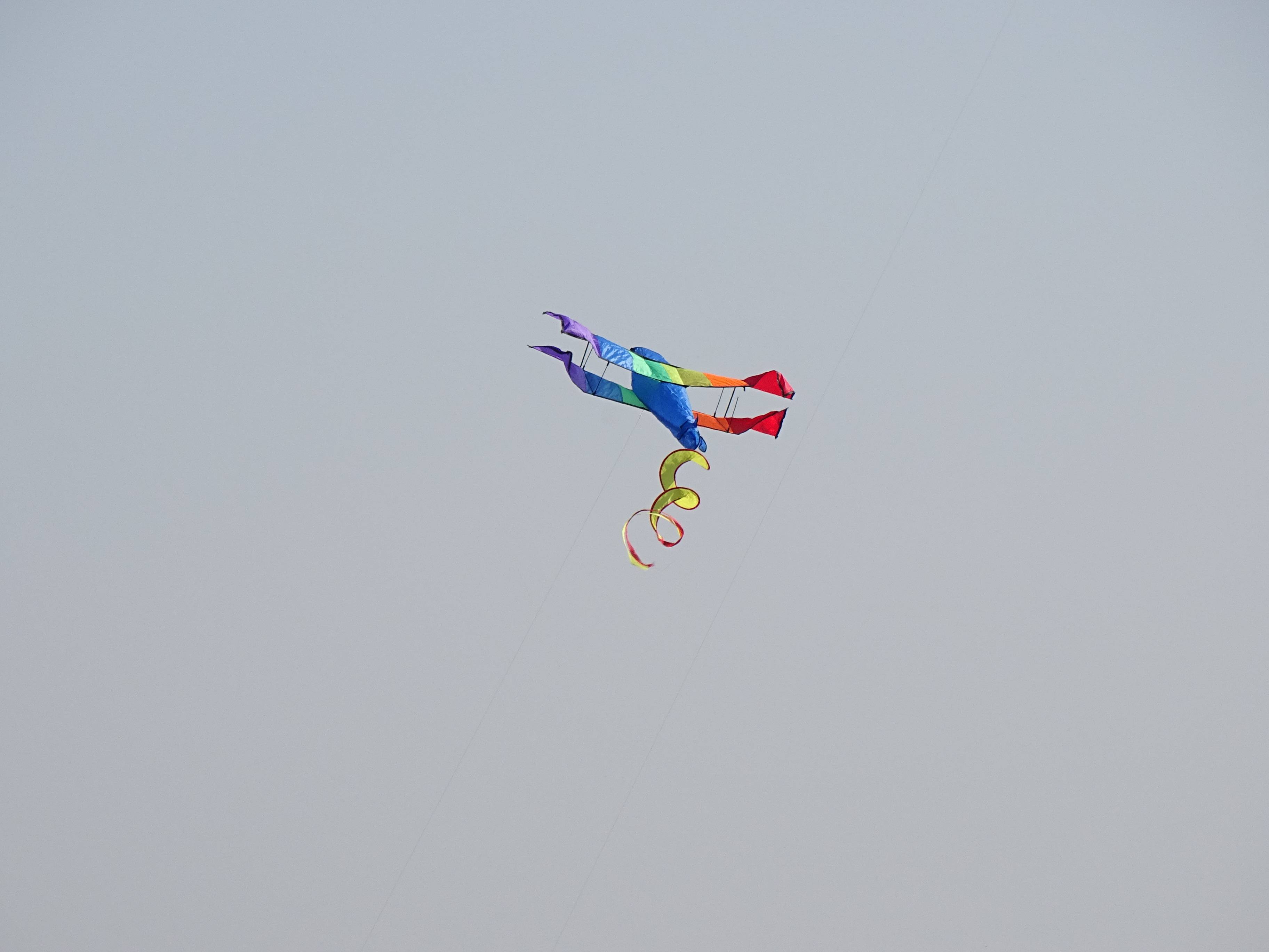 dsc03534