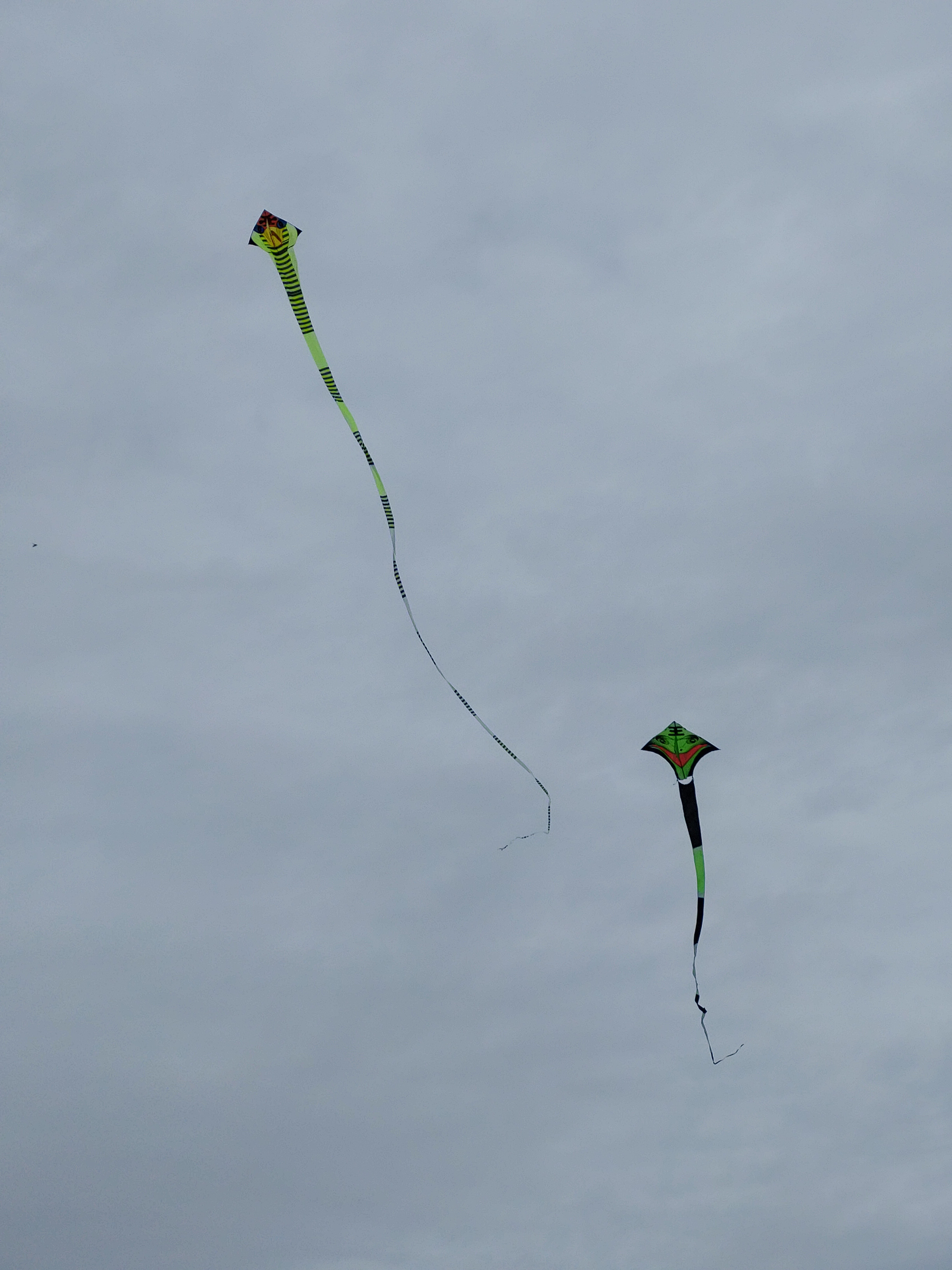 20231014_140018_edited