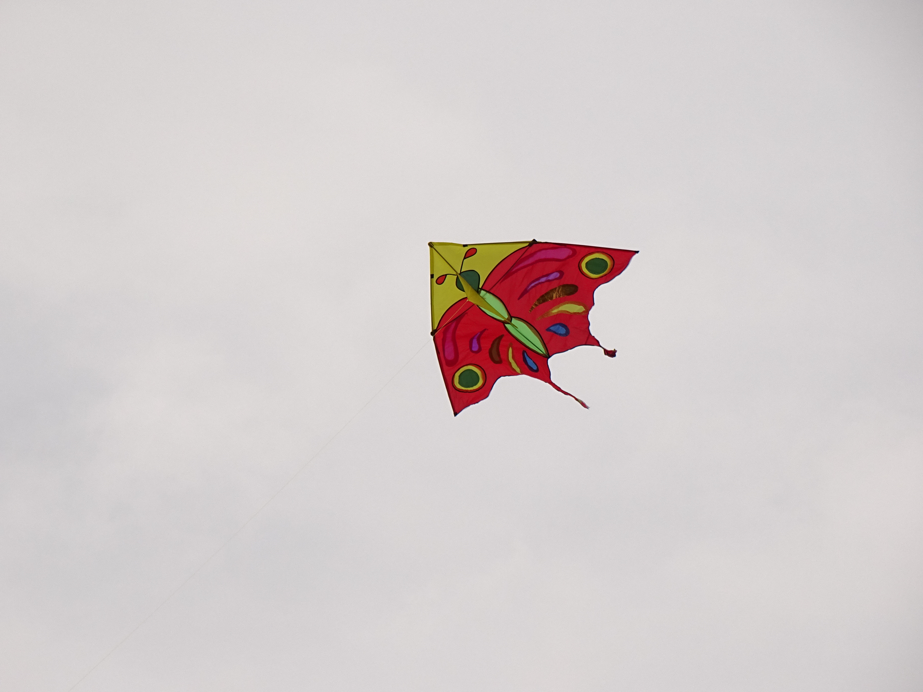 DSC07274