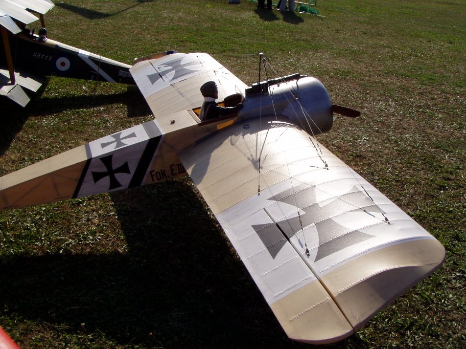 P9060011.JPG