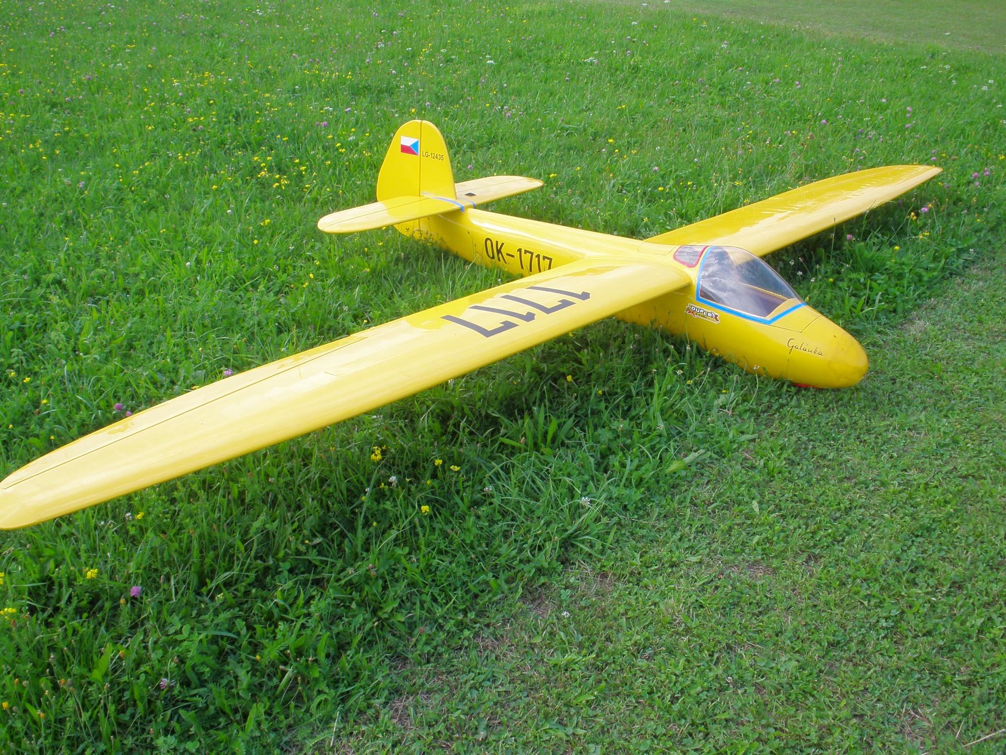P8061258