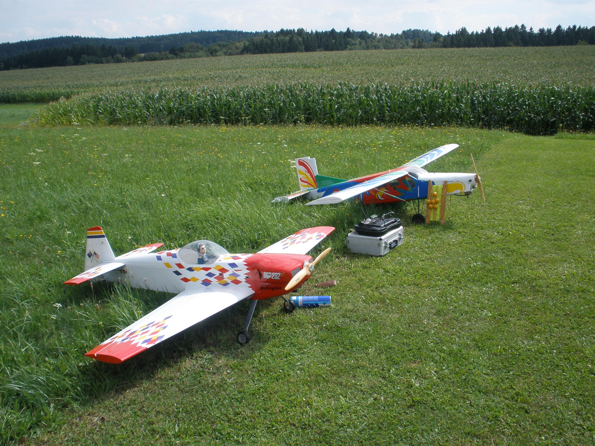 P8081276