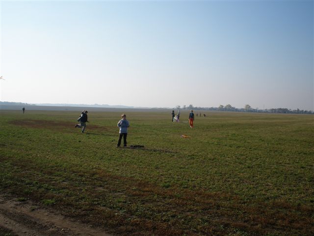 PA201528