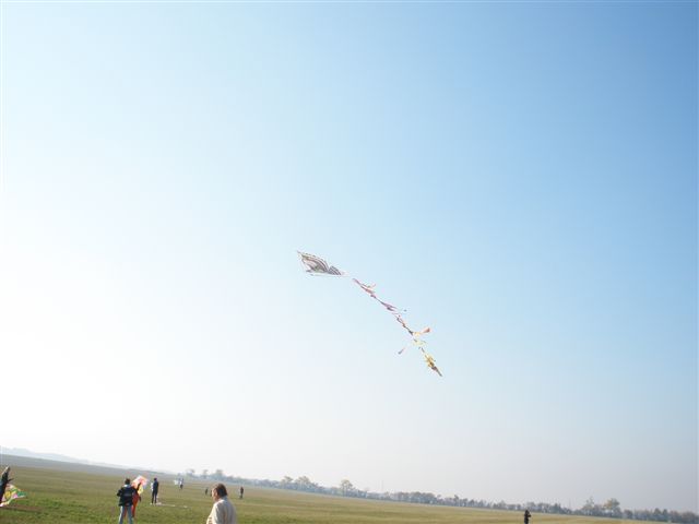 PA201530