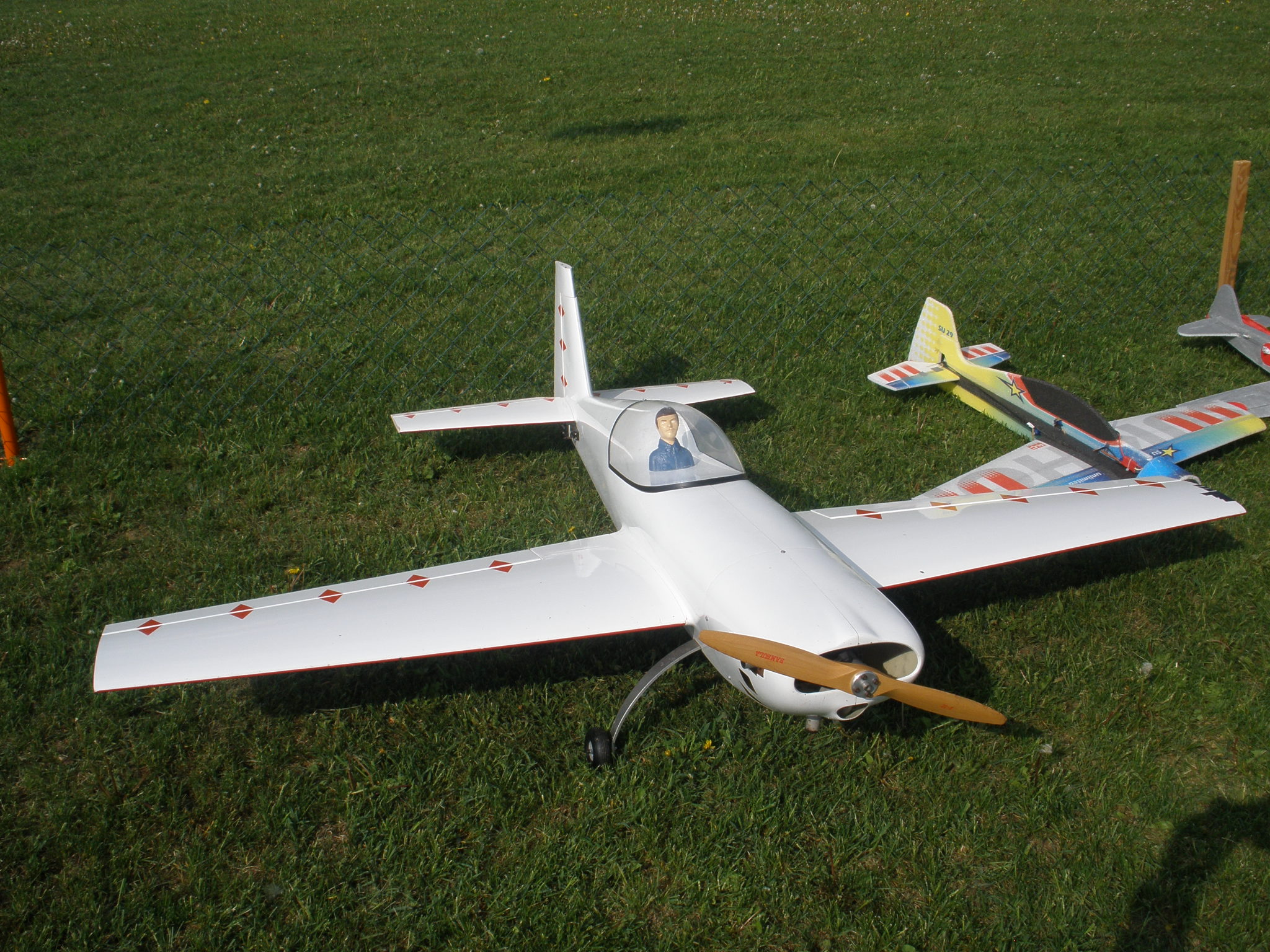 P5081878