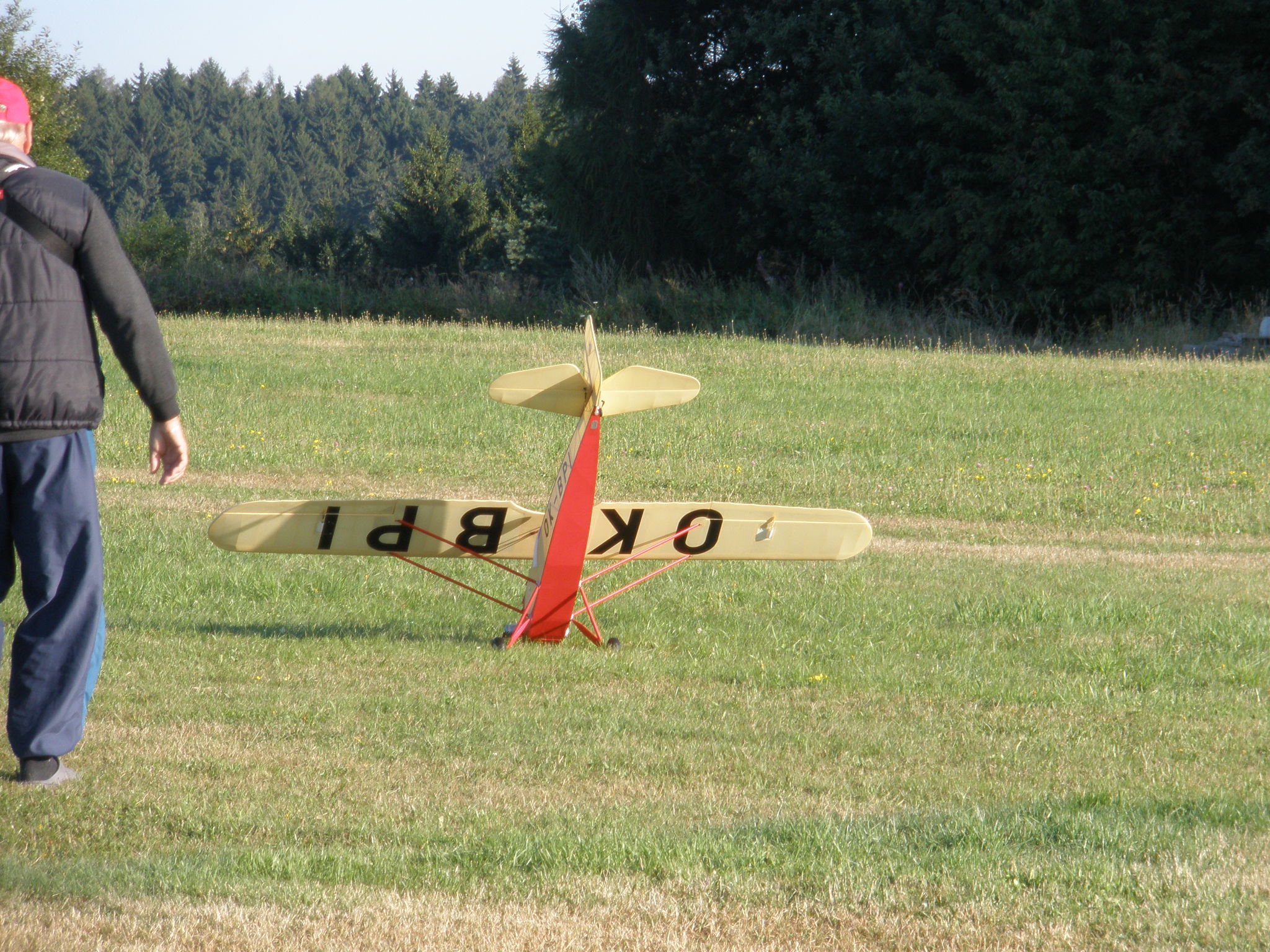 P8171225