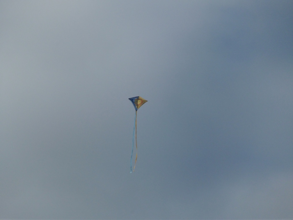 DSCF4921